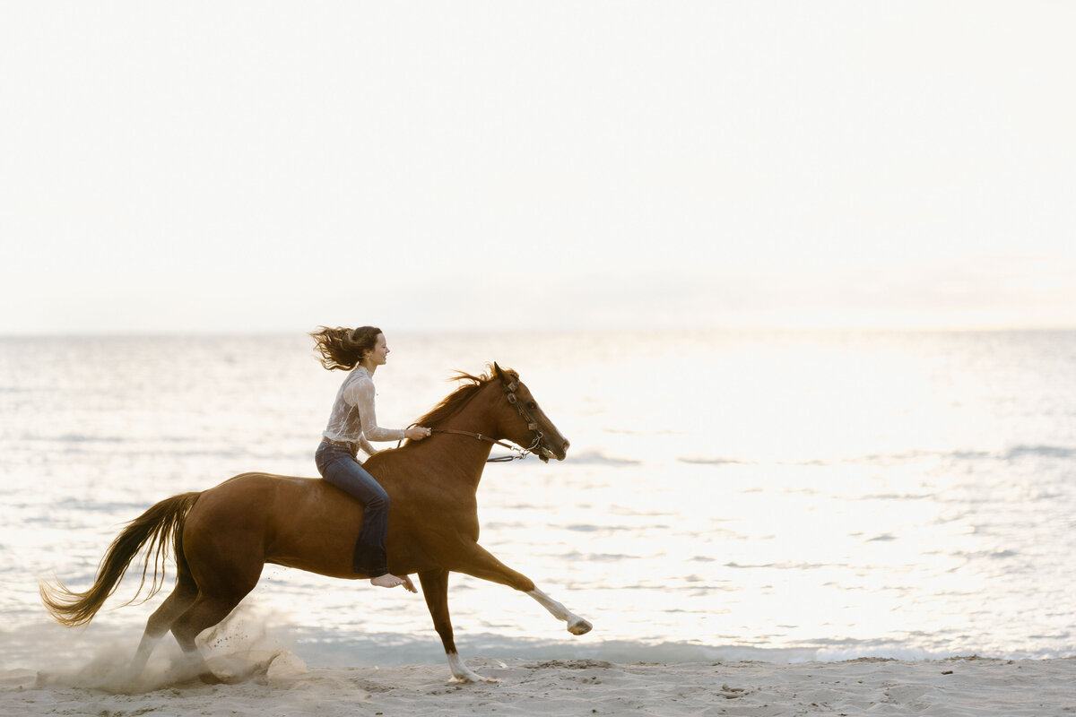 a girl riding her horse bareback on the beach at sunset
