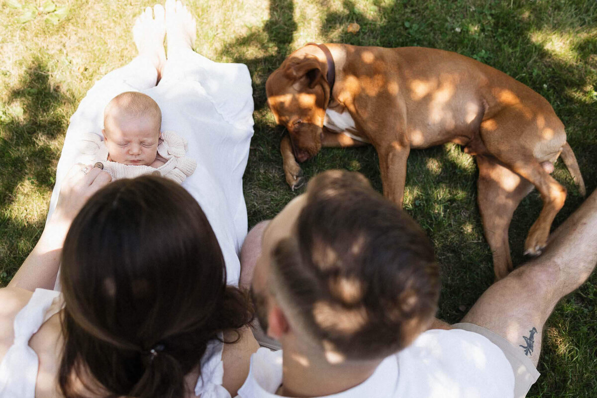 A peaceful lifestyle shot of parents enjoying a quiet moment outside in their yard with their newborn and family dog resting nearby.