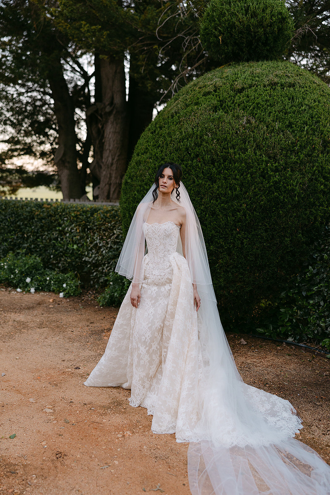 Brolga Hill Estate x Ashleigh Haase Photography-135