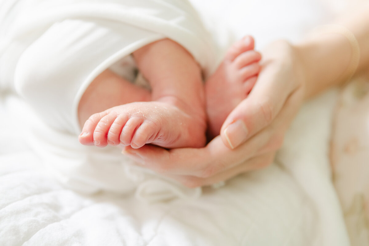 PJ_Photography_Ogle_ Archie-105