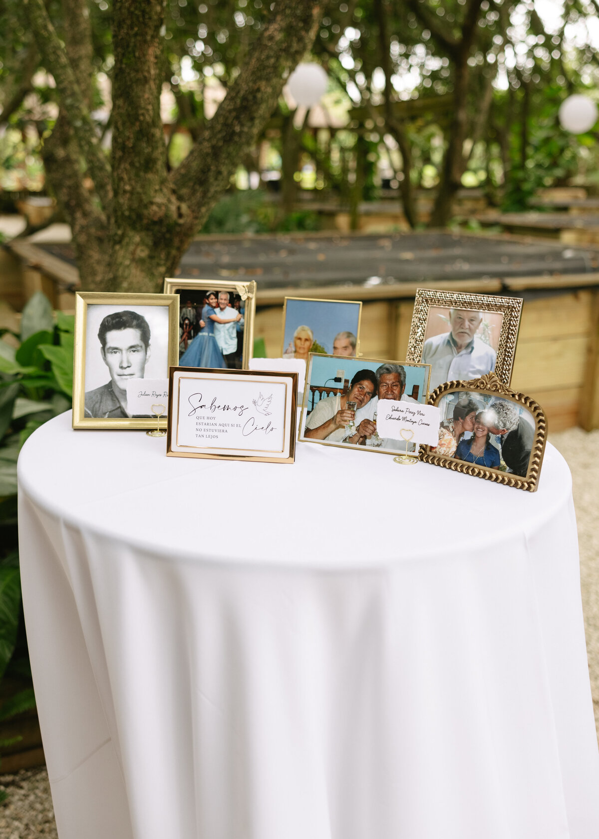 Mariana and Brian_s Wedding at Redland Koi Venue-547