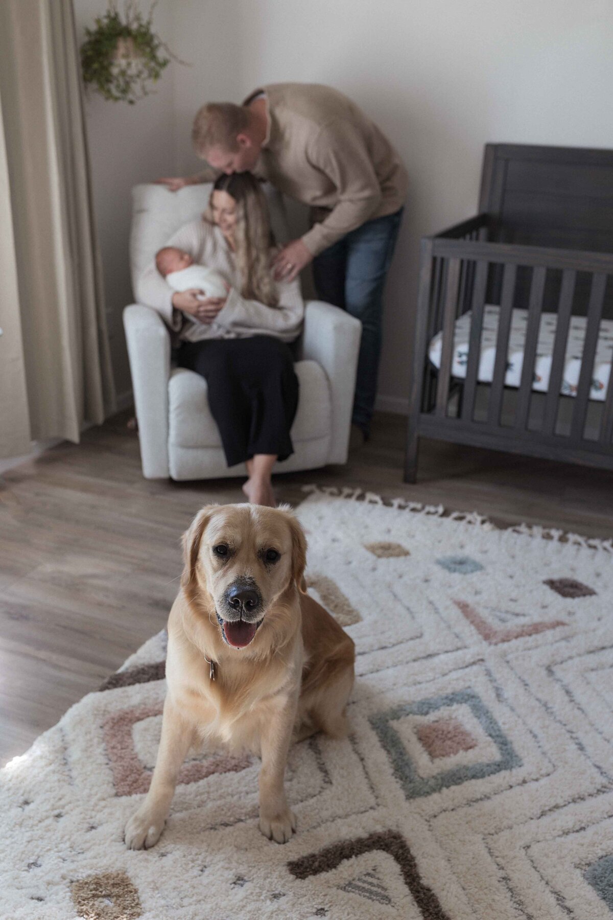 Fargo baby innewborn Photo Shoot Photographer-2