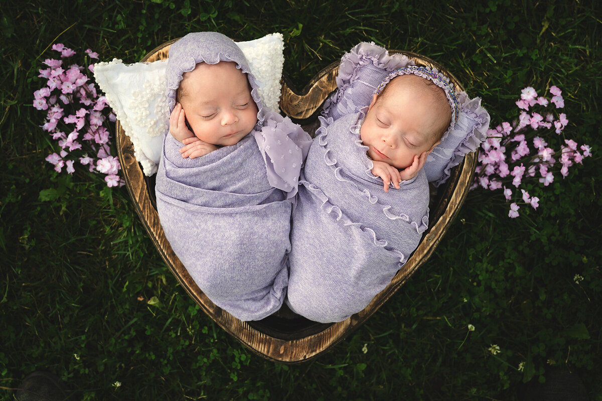Twin girl babies sleeping side by side in purple wrapped outfits in a heart bowl with florals outdoors at their photo session.