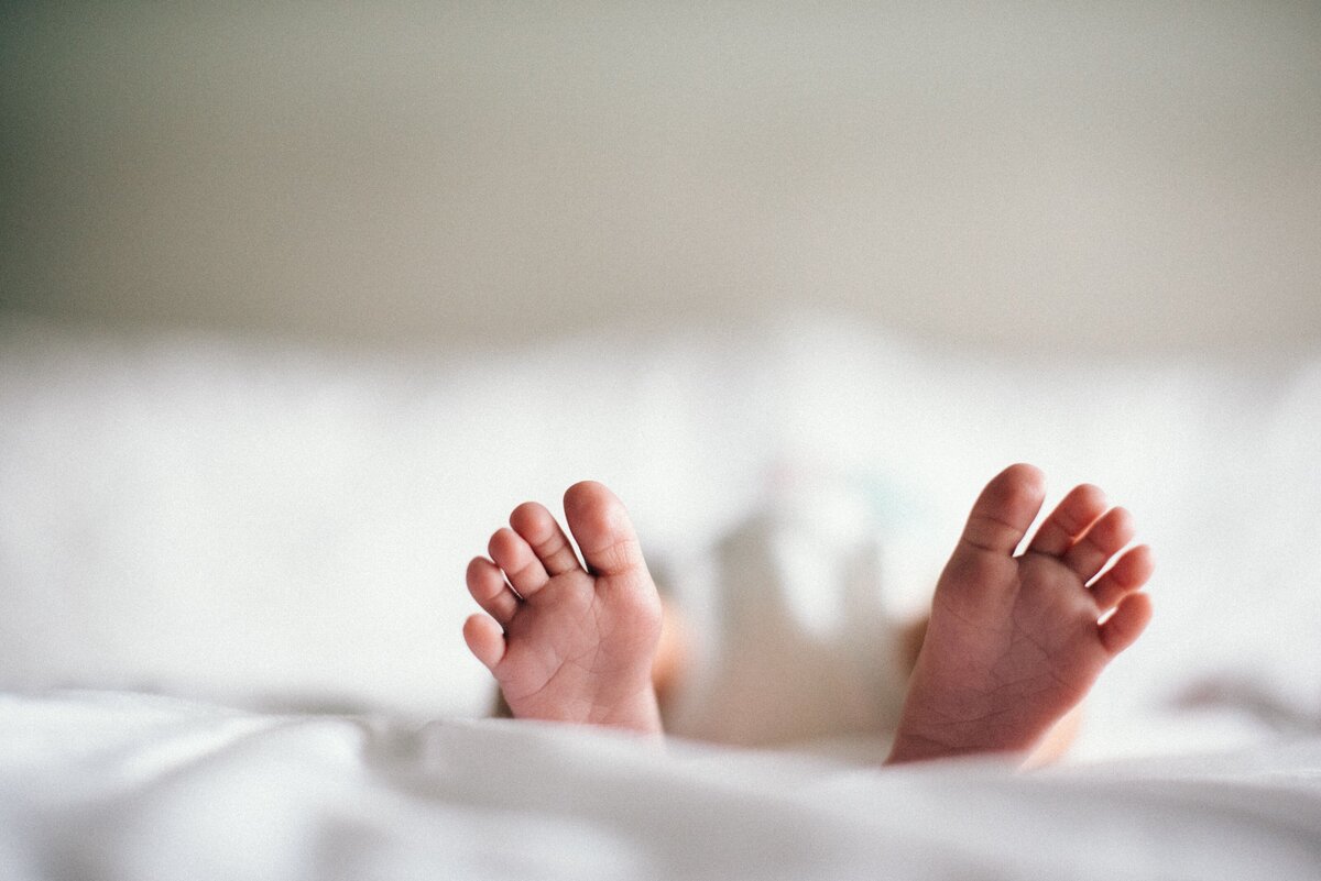 baby newborn toes little portraits ohio