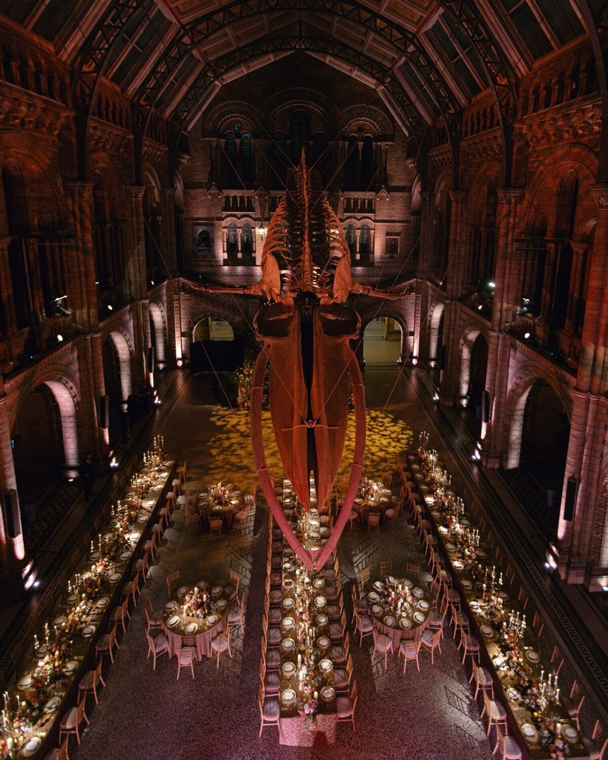 natural-history-museum-london-wedding-34