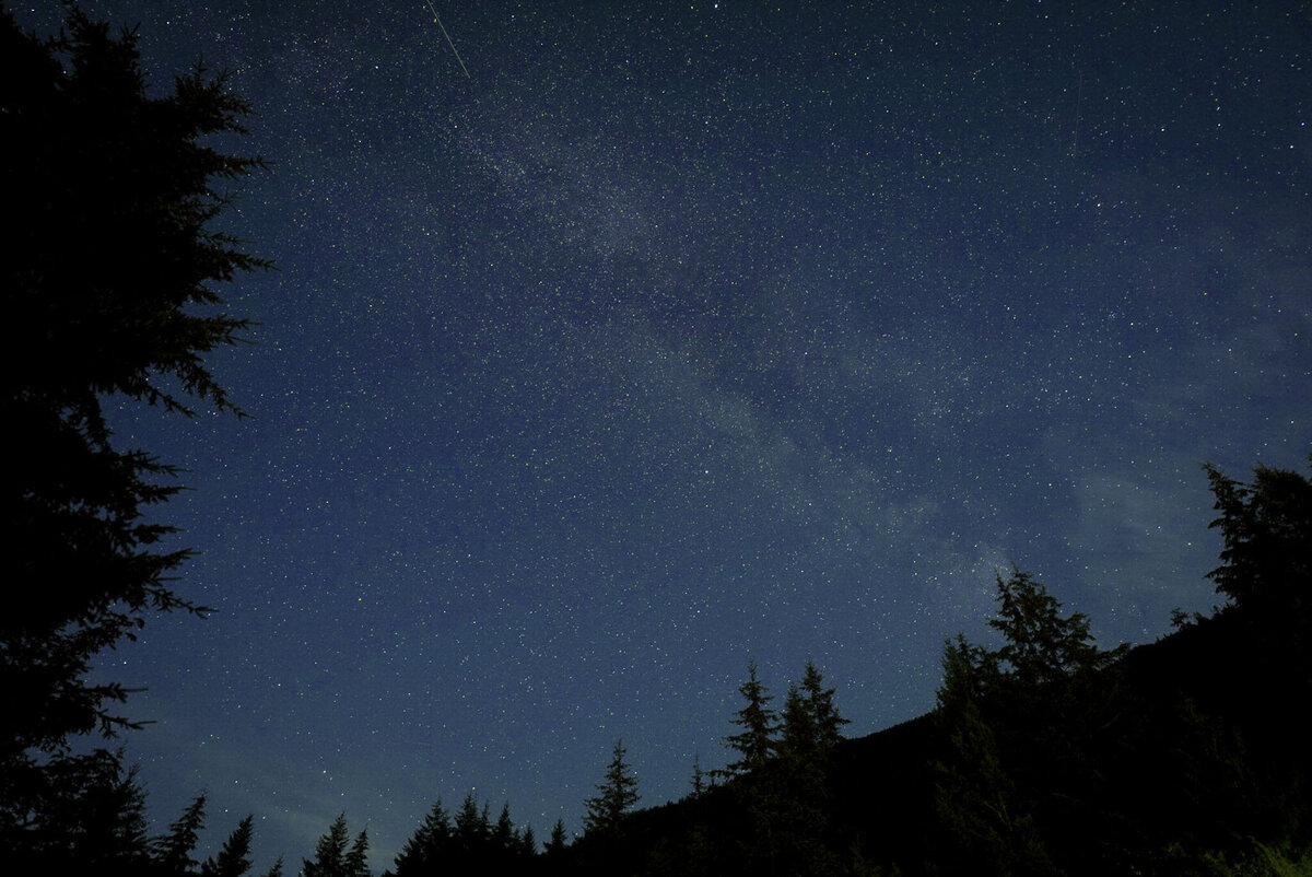 Milky Way and Stars Above Olympic National Park in Washington NPS Stargazing_By Stephanie Vermillion