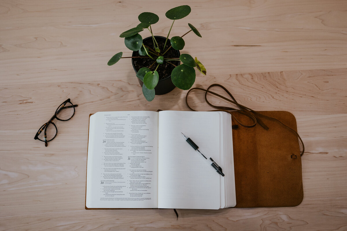 Camera looks down at Bible, plant, and glasses.