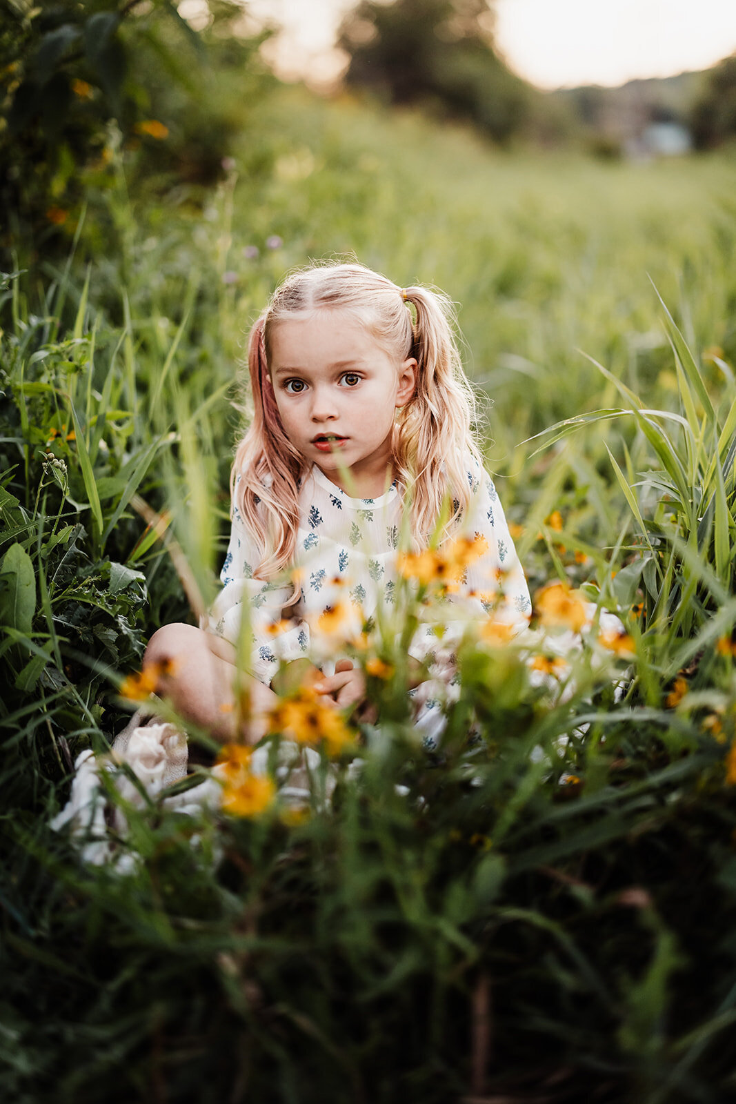 _K8A3848