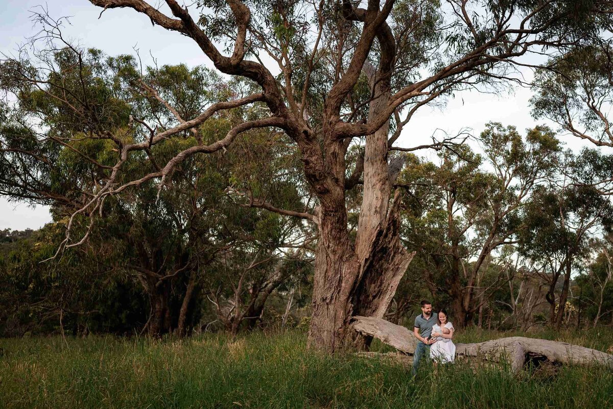 Parents sitting on log in Upwey with newborn son