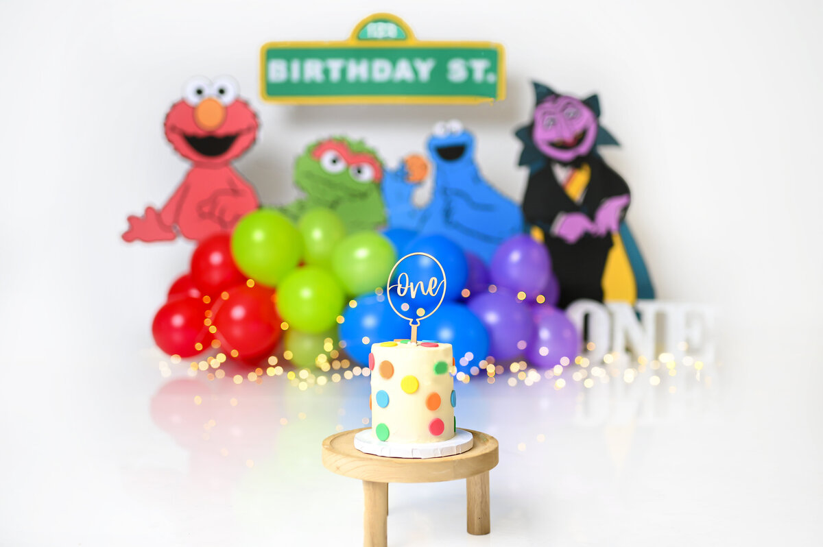 Sesame Street CakeSmash9
