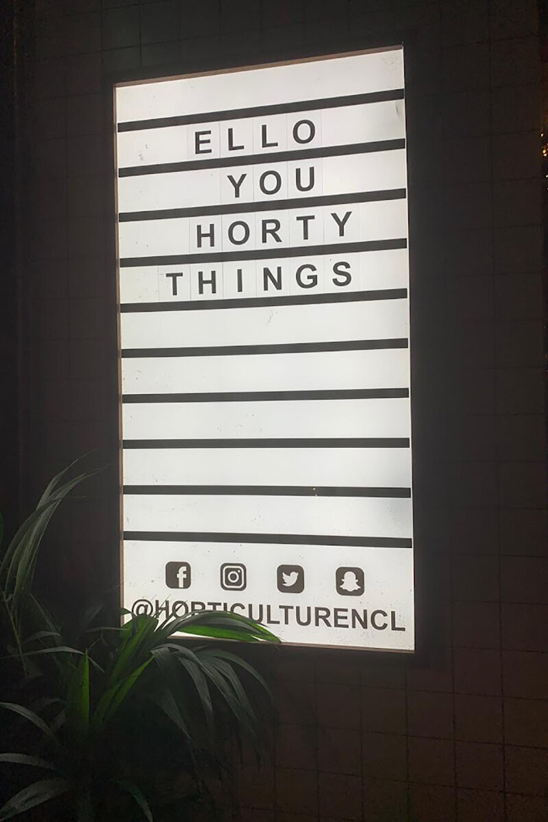 ellis-signs-bespoke-cinema-lightbox-newcastle-gateshead-north-east
