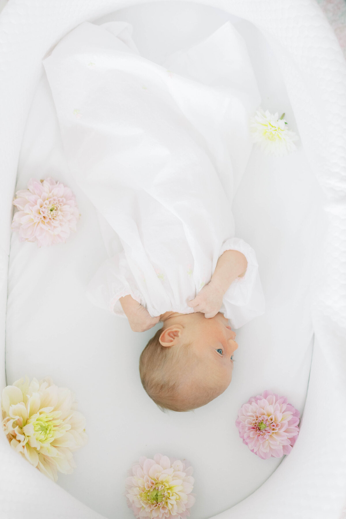 winston-salem-newborn-photographer32