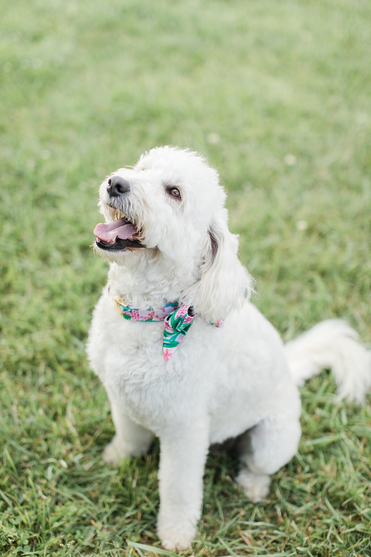 christa-rene-photography3-79