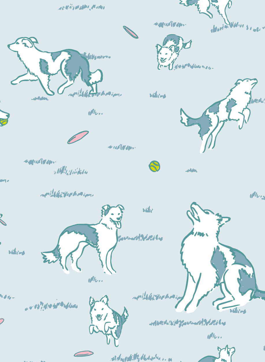 fetching-02-02