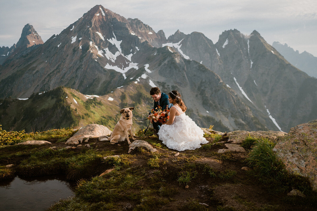 Bride & groom crouched down with their dog during elopement on top of Winchester Mountain Lookout near Mount Baker!