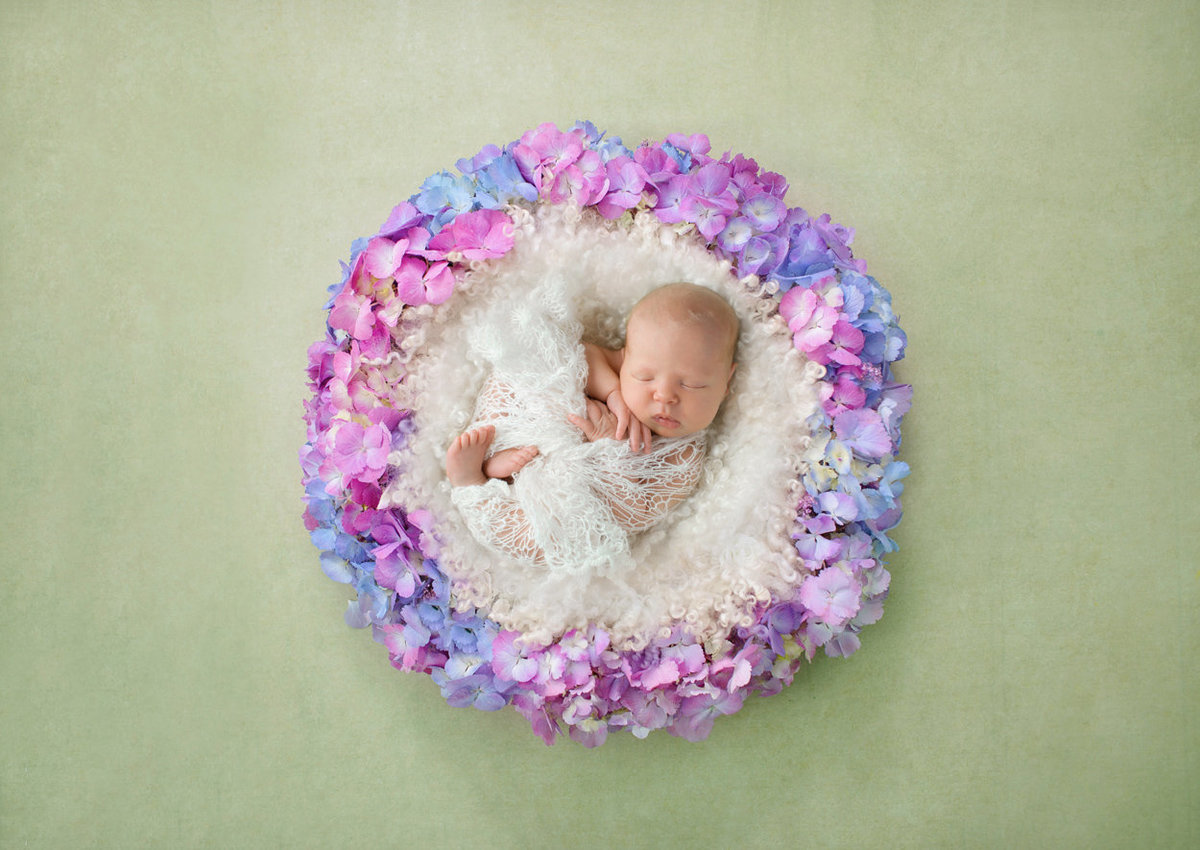 newborn in flowers286