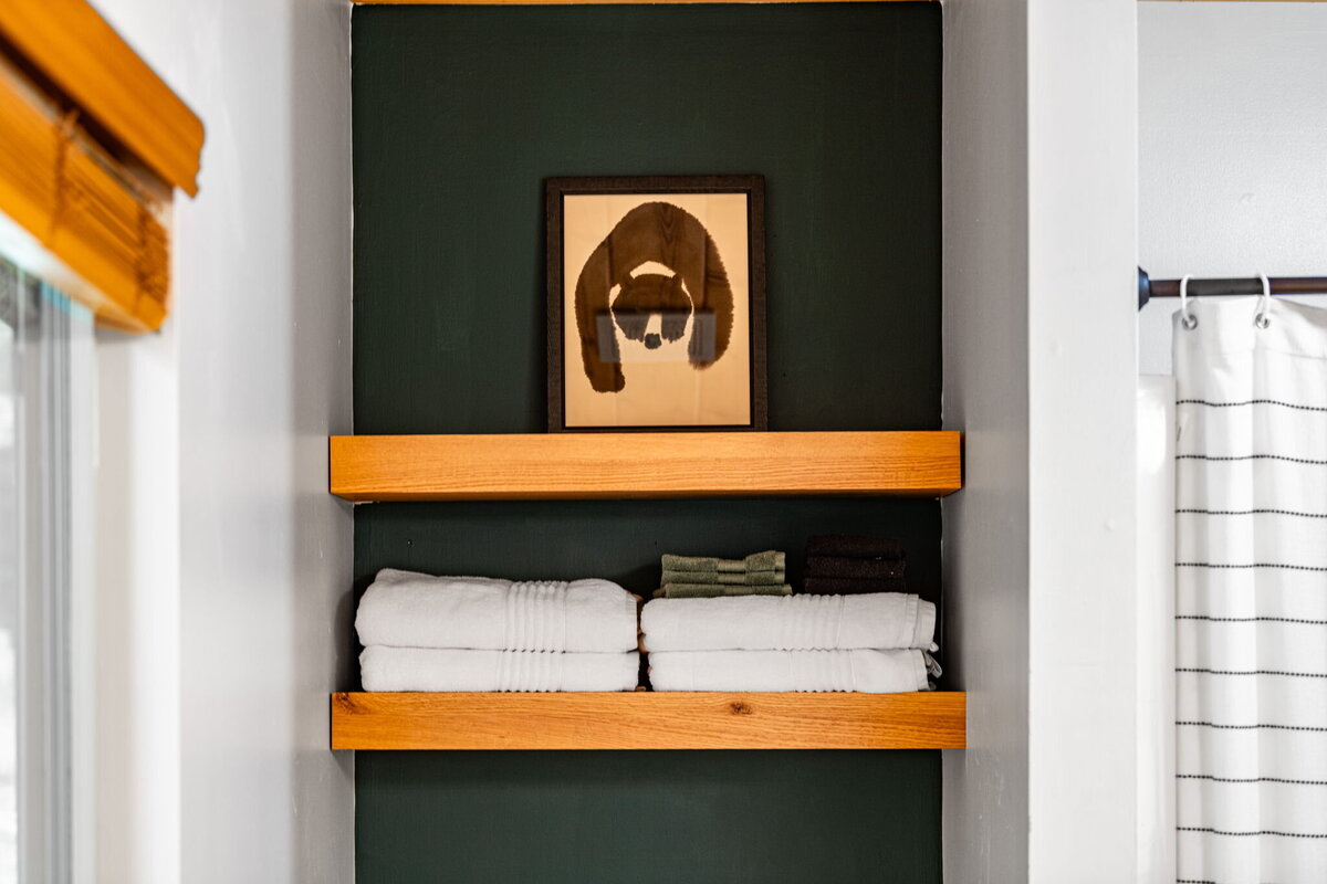 49Shady-Grove-Cabin-Blue-Ridge-GA_7067_Shelves Bath