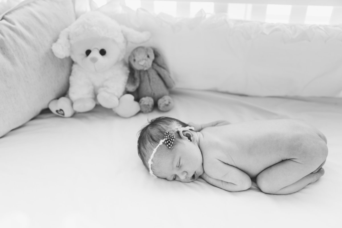 raleigh newborn photographer violet88542