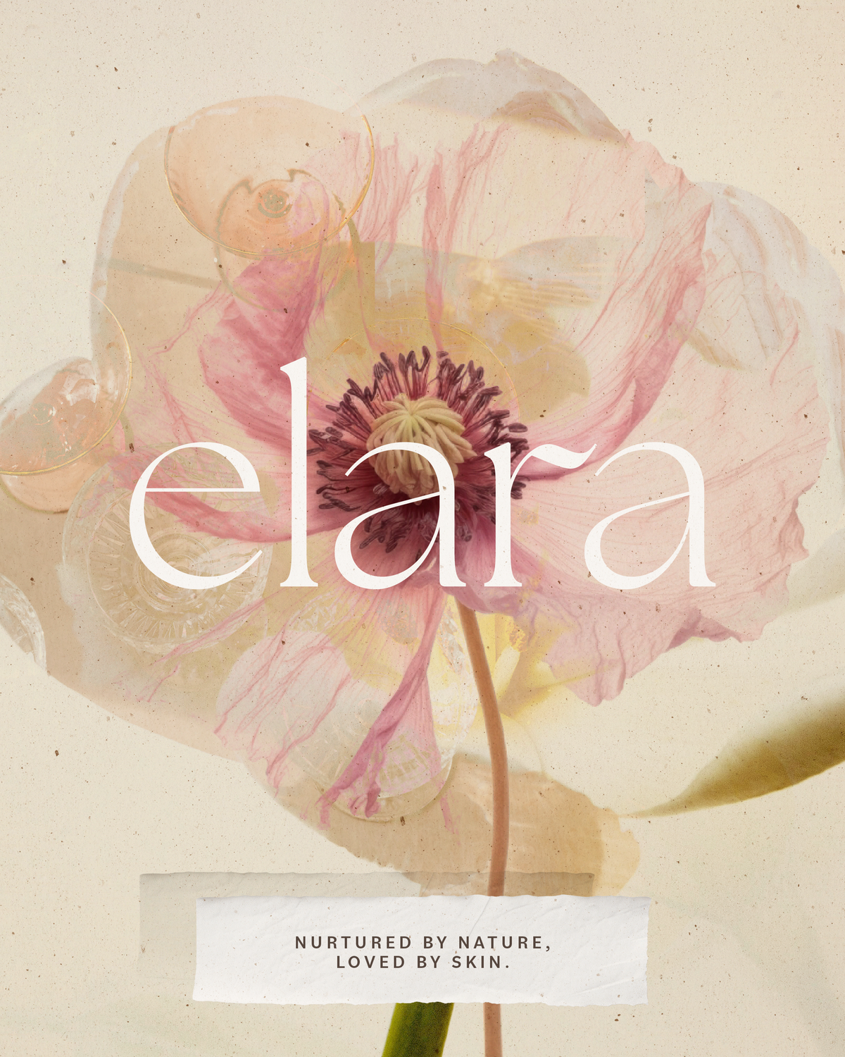 new Elara Skincare-08