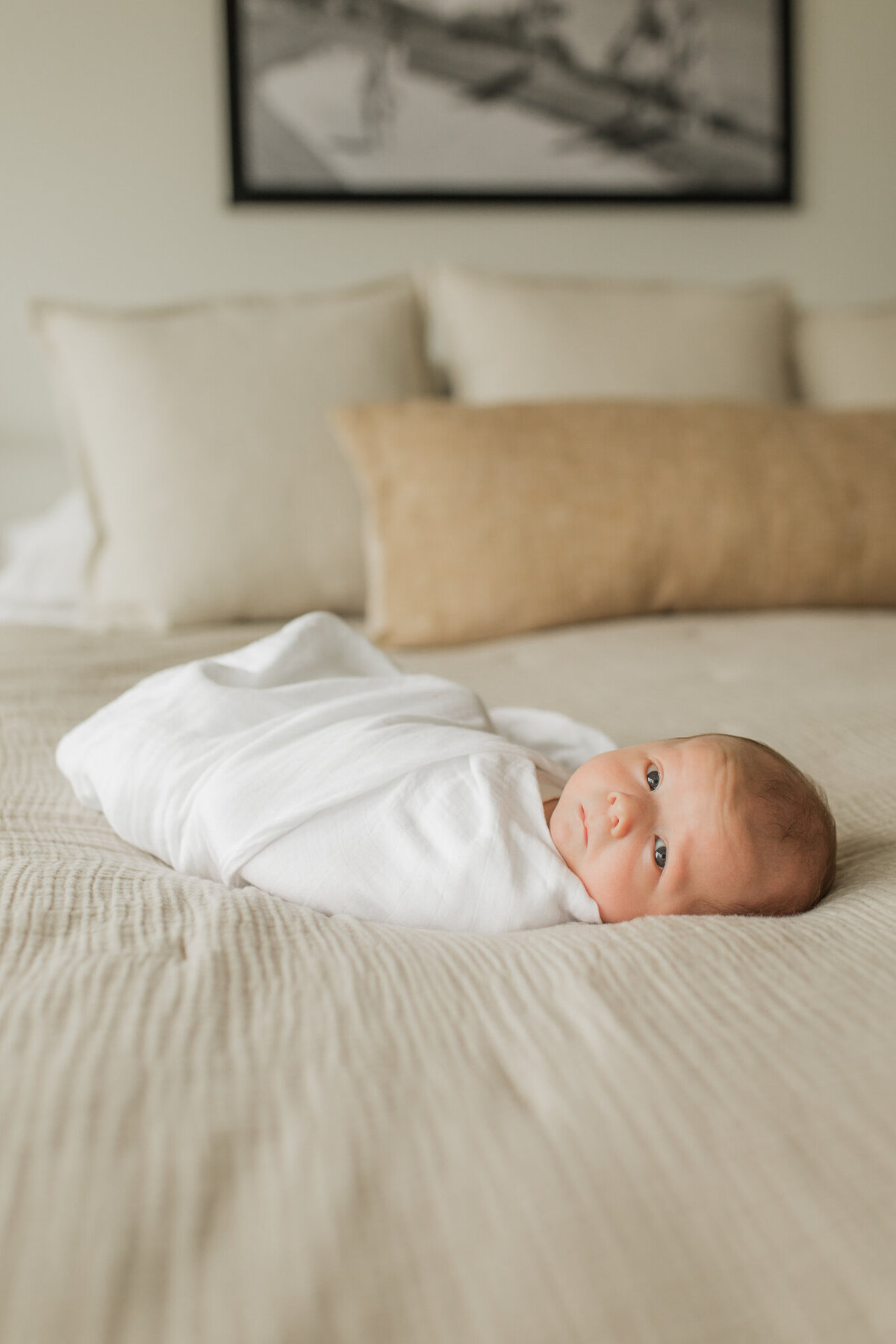 18 Lena Sophia Photography - Camas, WA Newborn Photographer