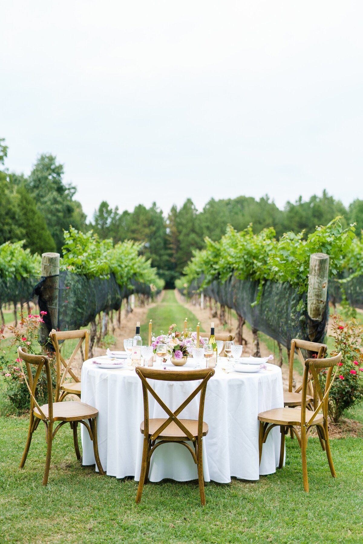 An elegantly decorated tablescape in front of a row of vineyards at a wedding venue near Charlotte, NC.