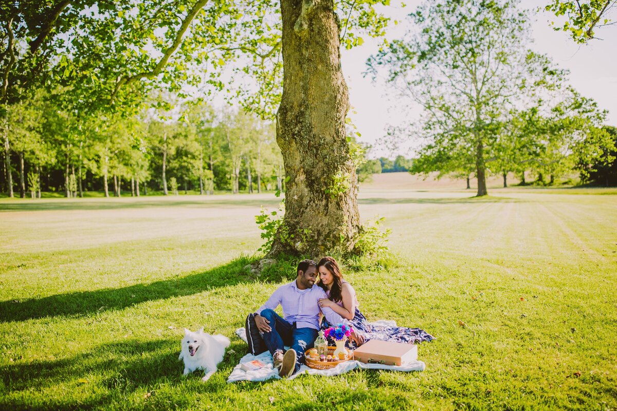 A couple sharing a moment during a picnic with their dog sitting on a blanket in front of a tree at natirar park in nj
