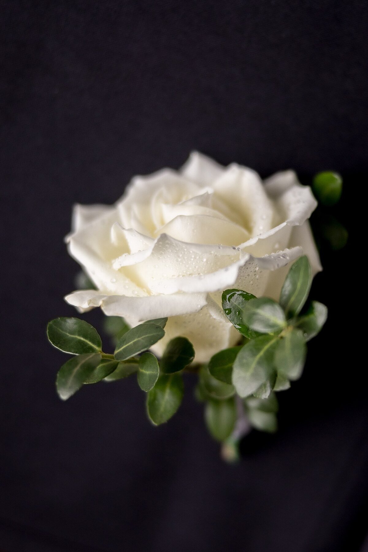 christina-chris-wedding-zela-events-nyc-nj-wedding-planner-42