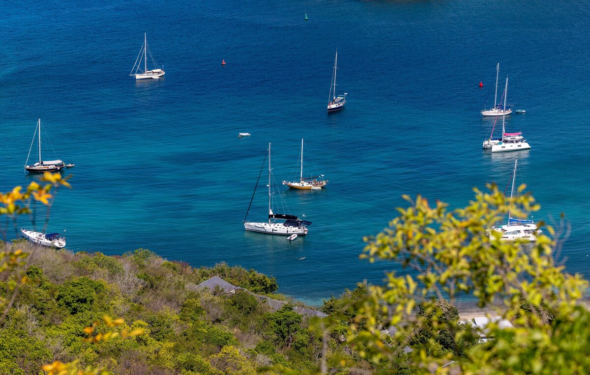 royce-fonseca-Efax6T2gnik-unsplash