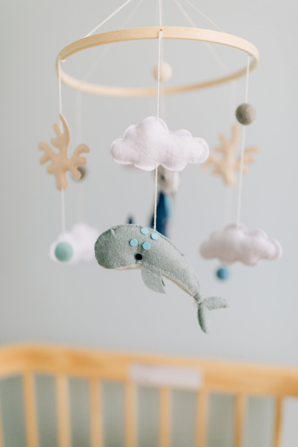 Elizabeth Alice Photography- Wake Forest Newborn Photographer- 36