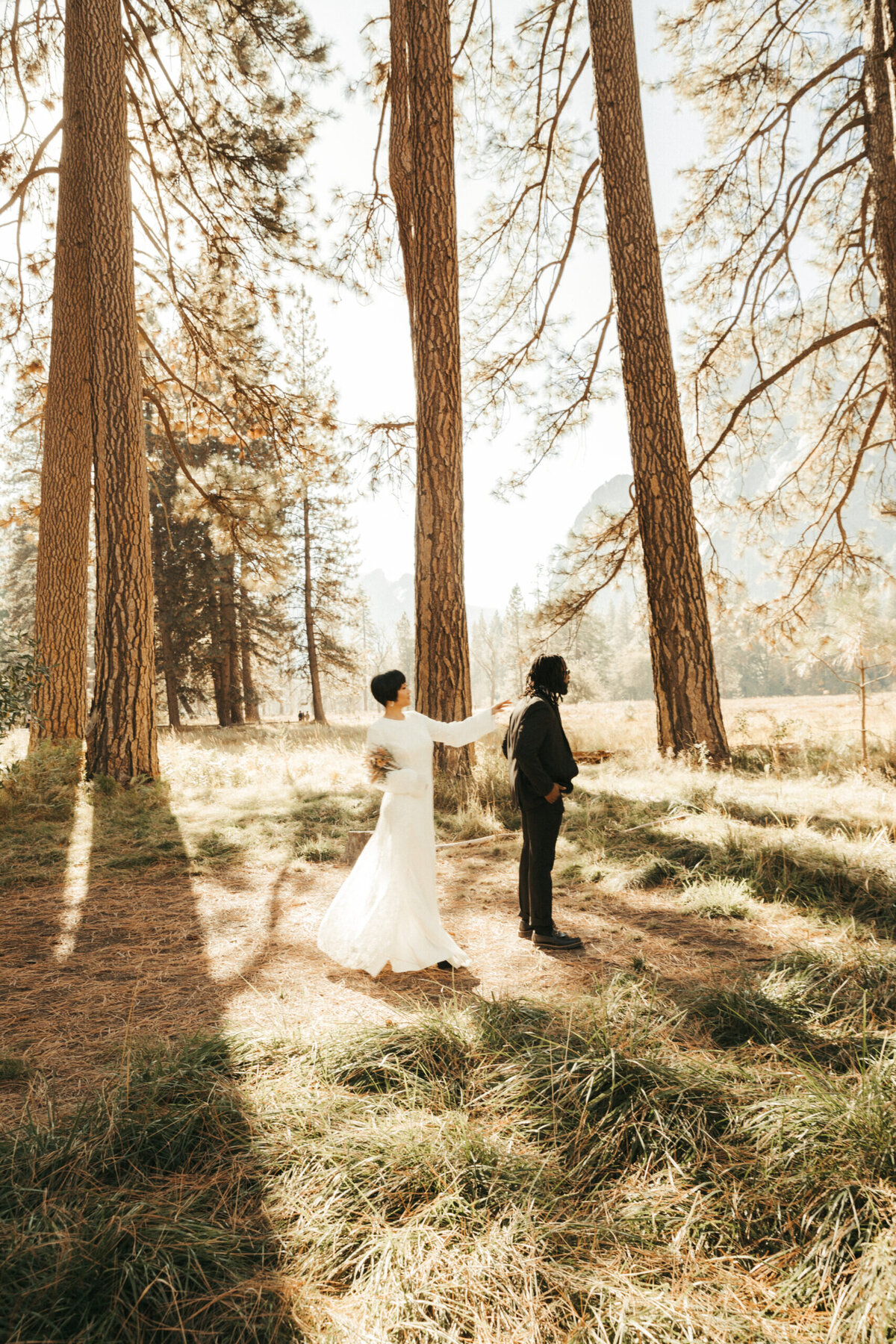 p-k-redwoodselopement