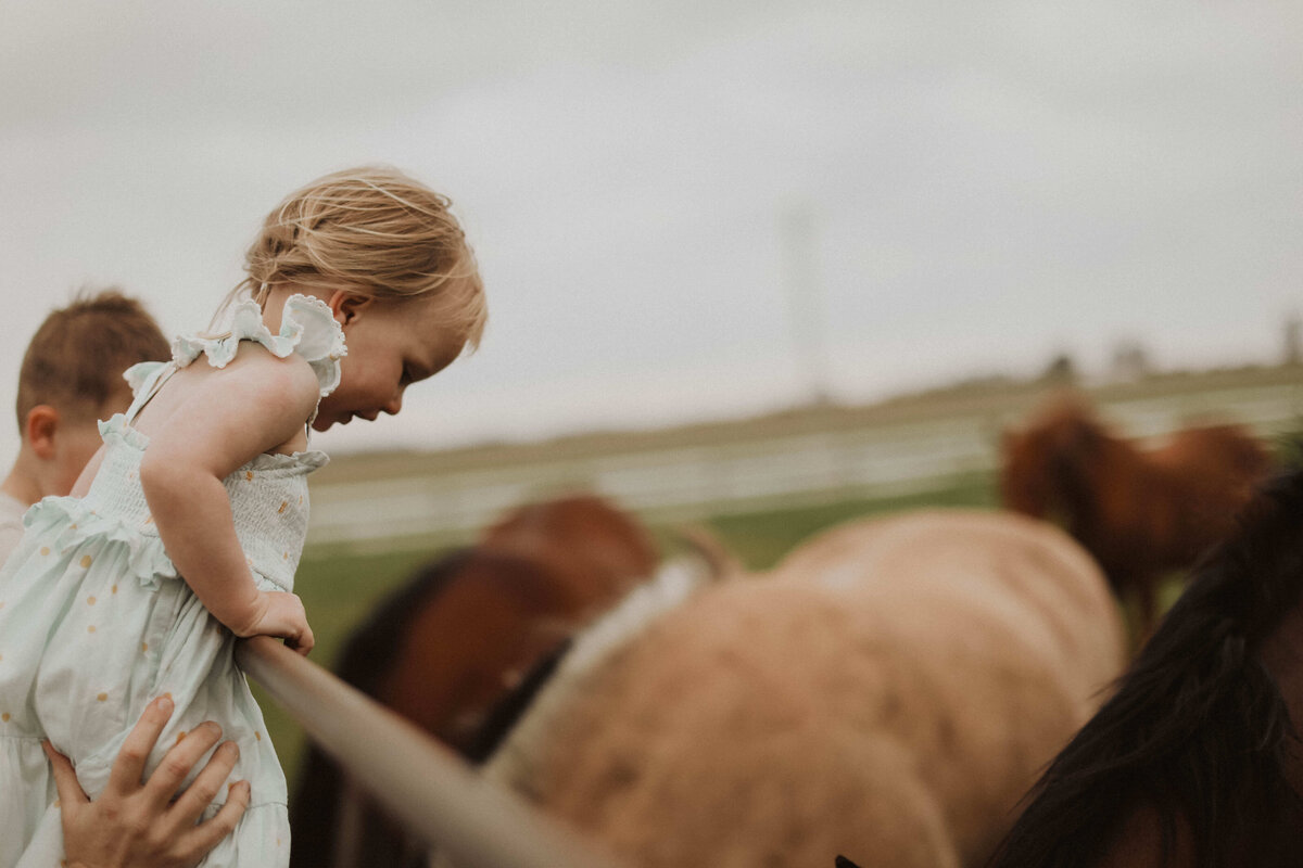 Morgan-Moon-Des-Moines-Iowa-Family-Photographer-DA8A5586