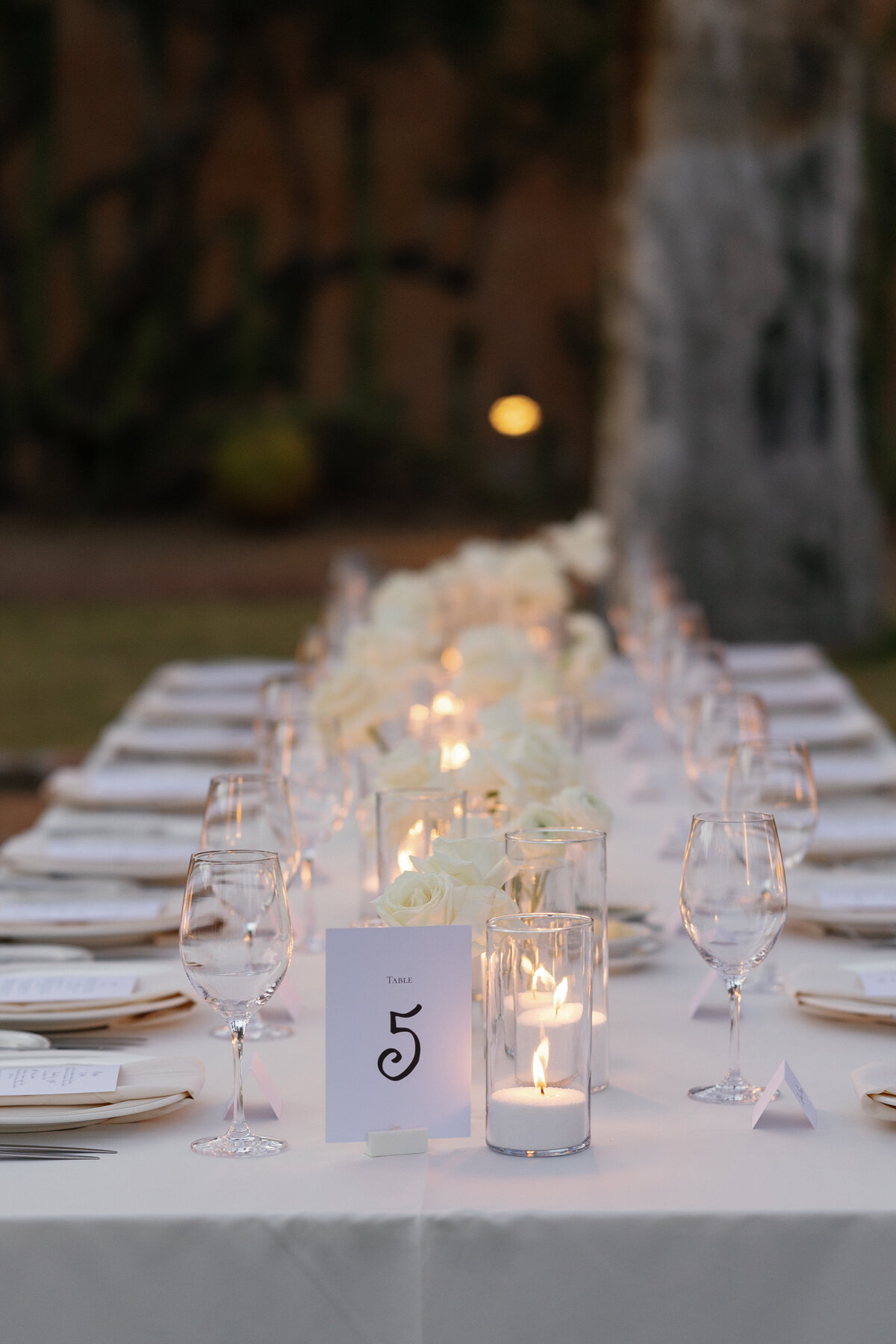 TriciaMillerPhotography-814