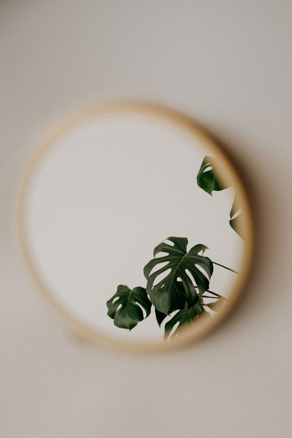 annie-spratt-4M9PlAIQU0E-unsplash