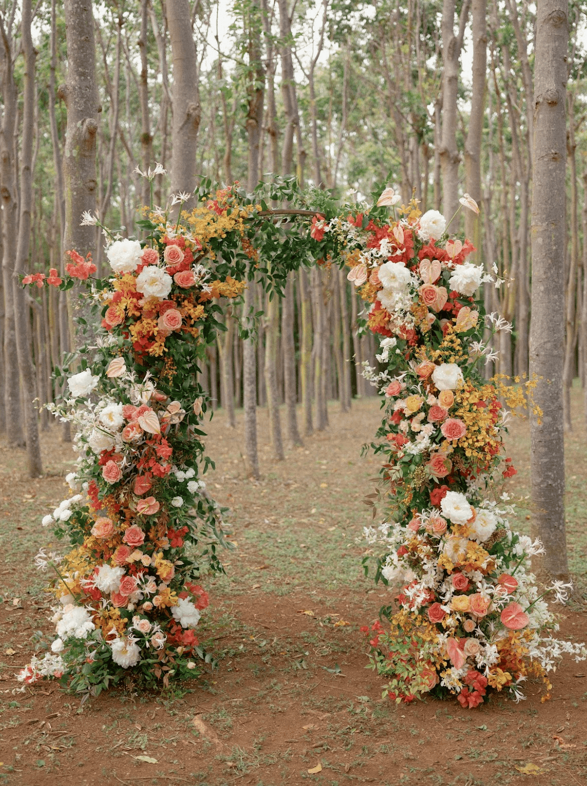 Screenshot 2025-11-25 at 12.04.39 PM