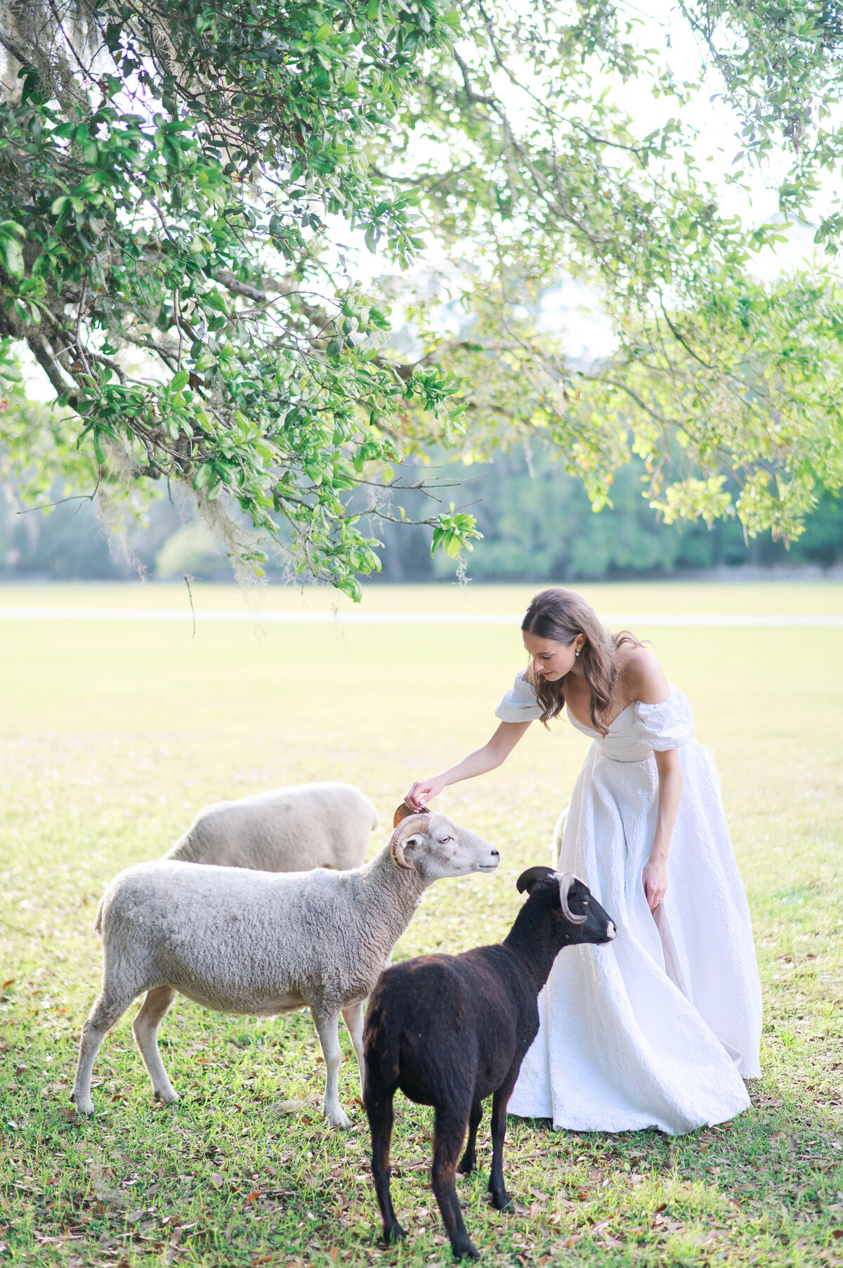 SAVANNAH_GEORGIA_WEDDING_PHOTOGRAPER_134