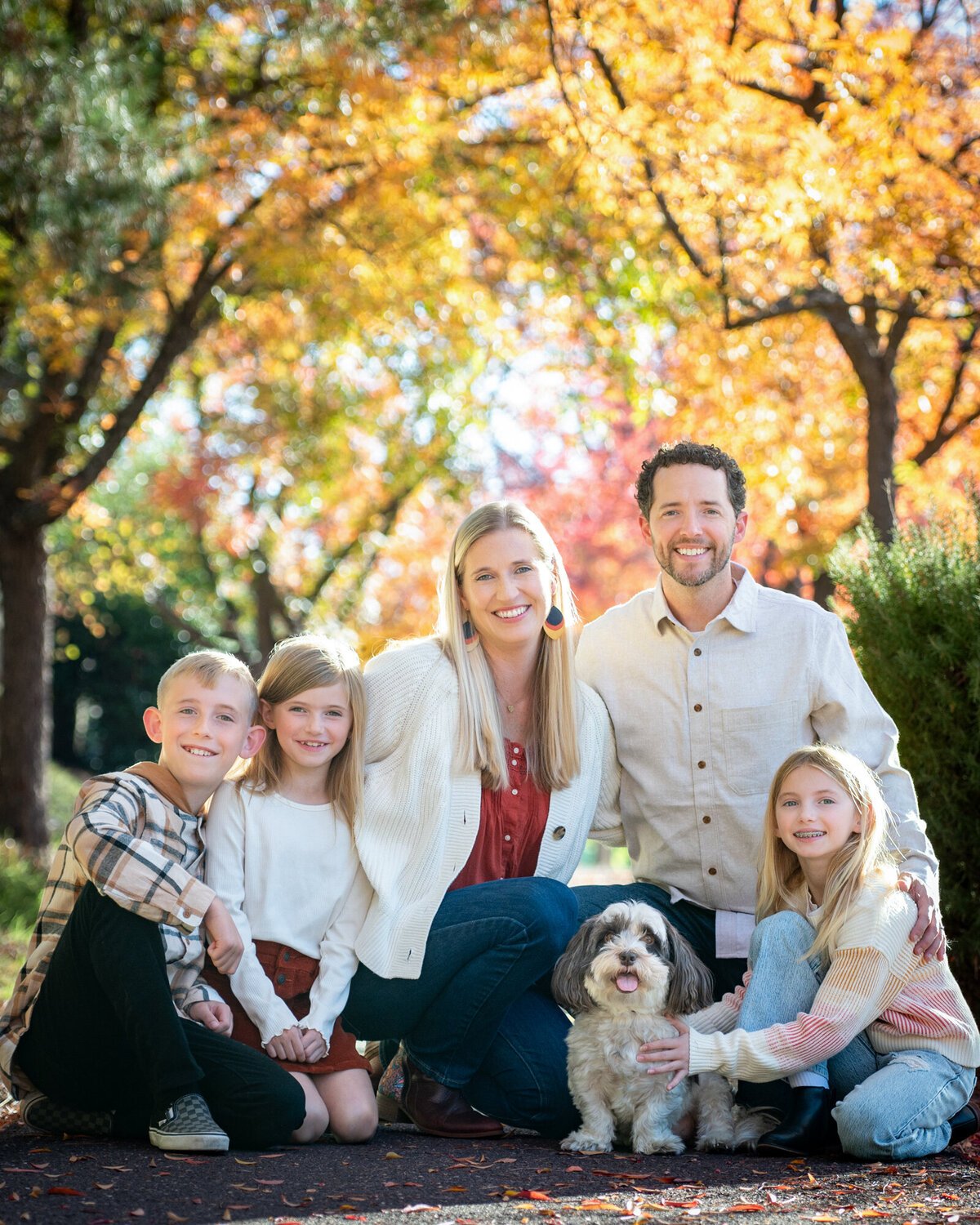 Pet-Photography-dogs-El-Dorado-Hills