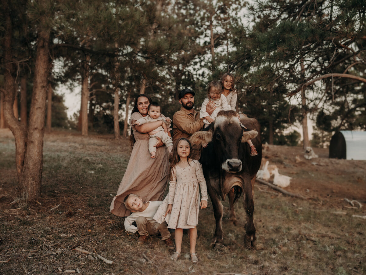 An image that could be out of a magazine showcases a family with 5 children interacting with their parents as their pet cow joins in on the fun.