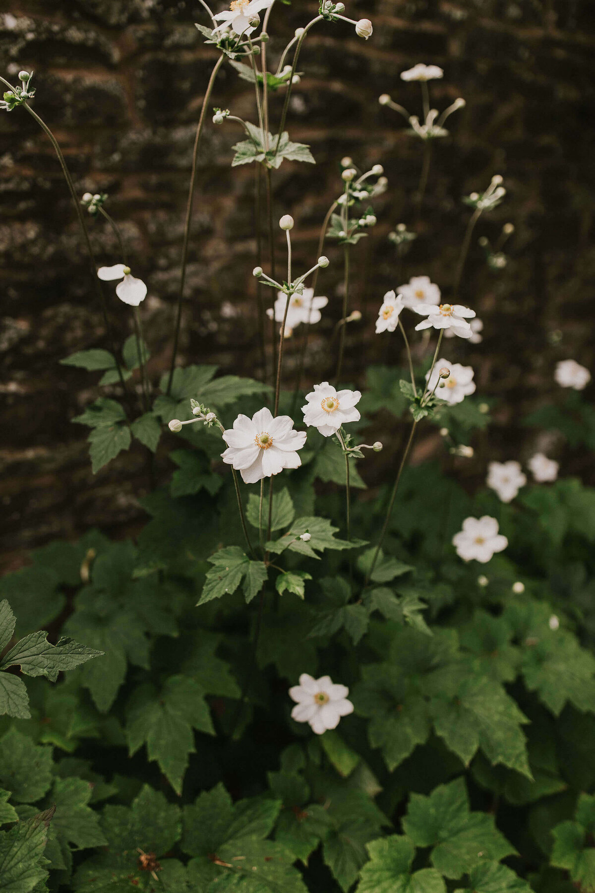 Issy-and-Bella-Floral-Design-Wedding-Florist-Herefordshire-Dewsall-Court-N-Z7