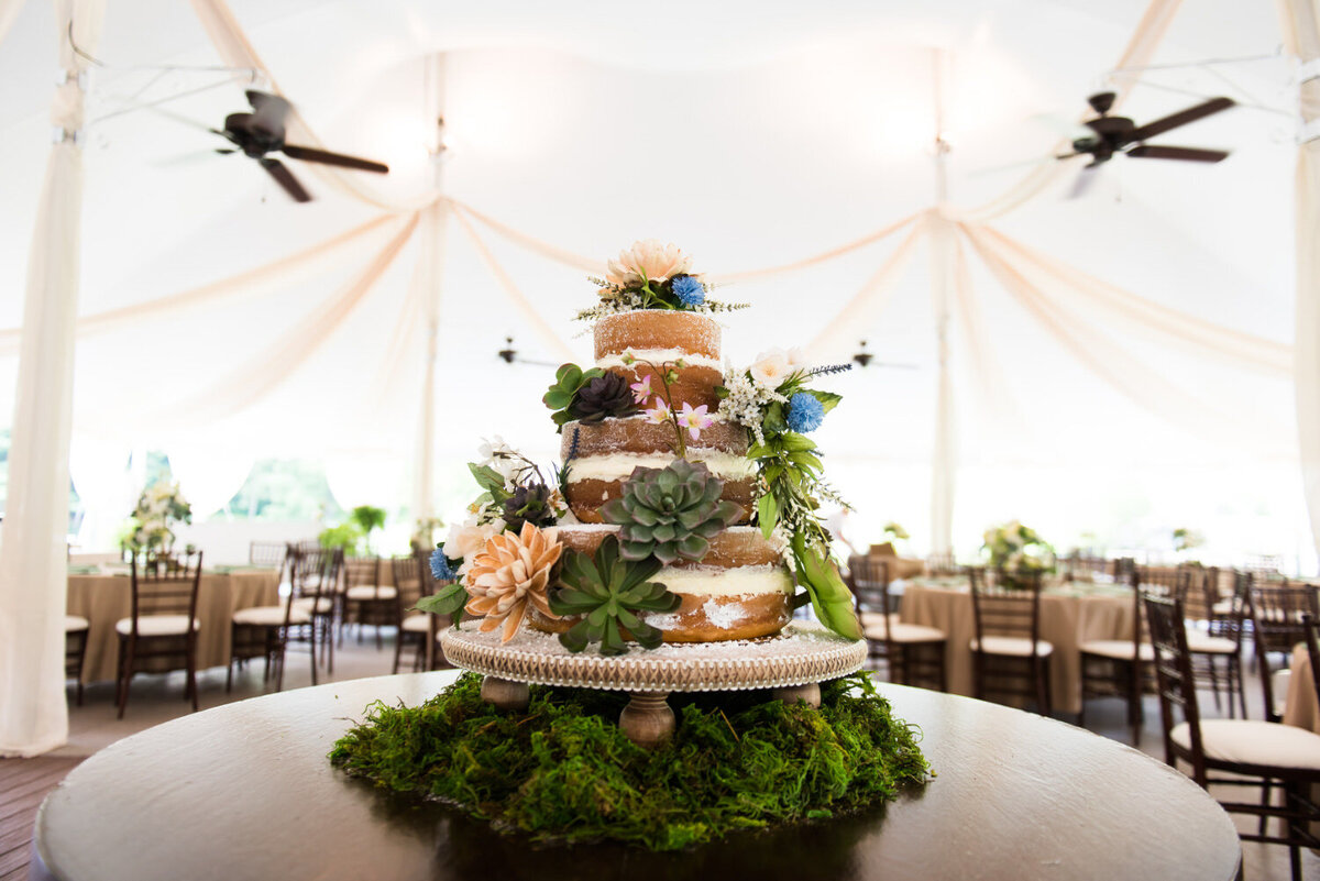 wedding cake with greenery and succulents setup inside of the tent at shady elms farm