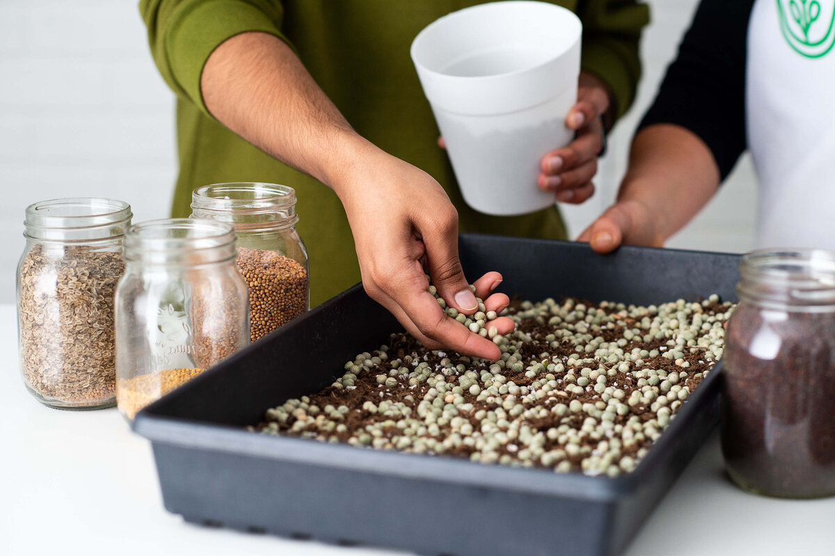 a closeup of hands planting seeds during an in studio farming workshop.  Captured by Ottawa Branding Photographer JEMMAN Photography Commercial