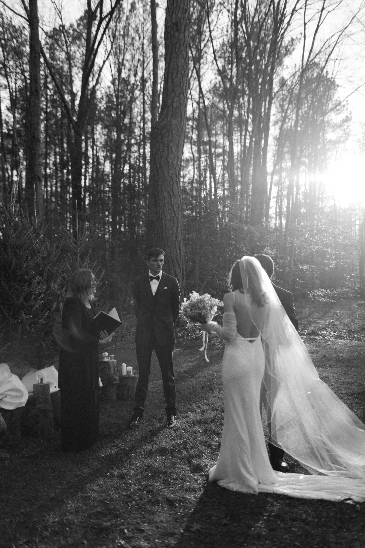 Timeless Wedding Portraits Virginia