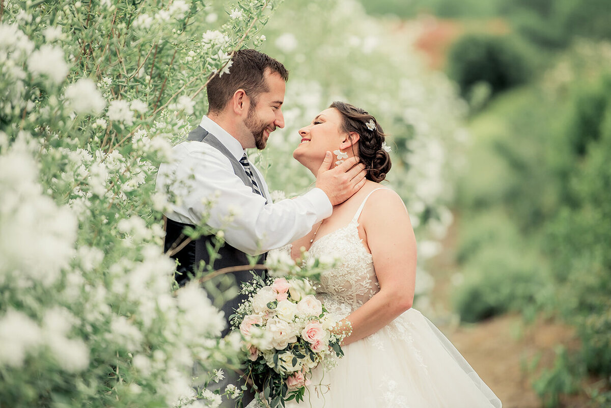 Hydrangea-ranch-wedding