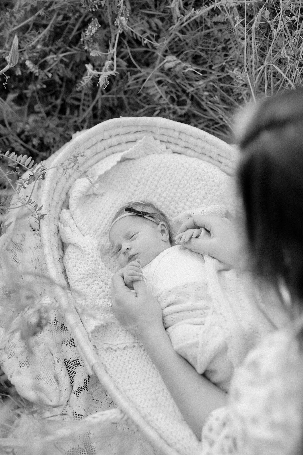newborn-photos-seattle-76