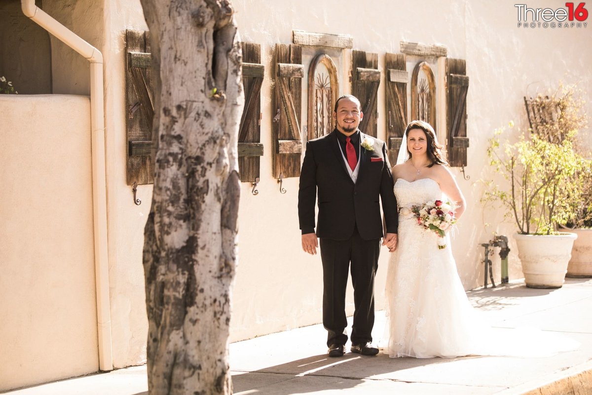 Wedding Couple pose for the photographer