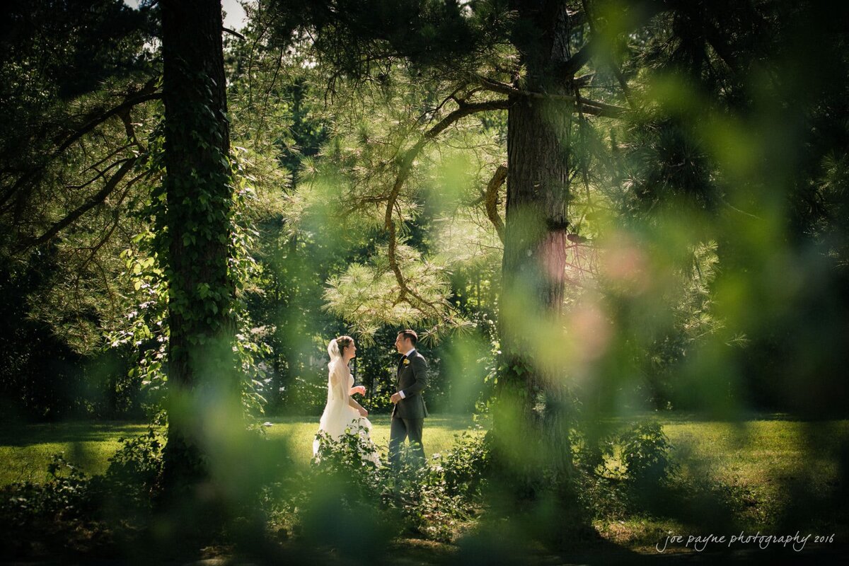 A bride and groom during a first look seen through the leaves of a tree.
