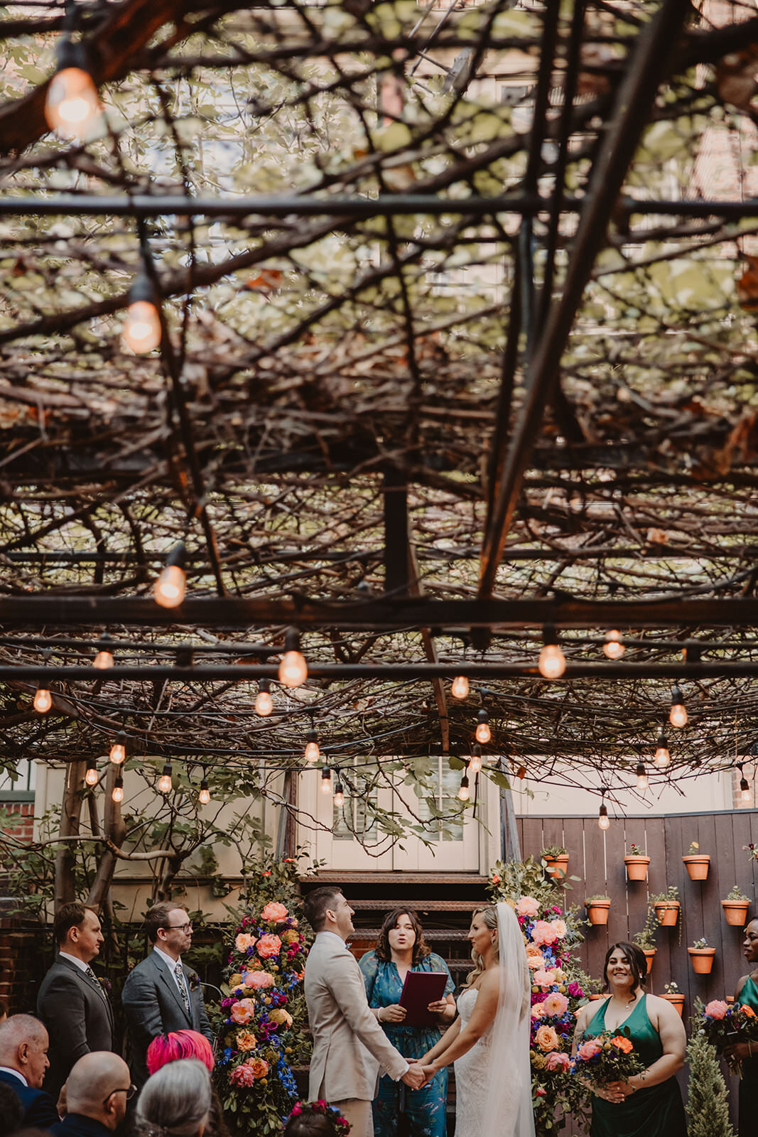 Lights hanging from an outdoor roof covered in vines 