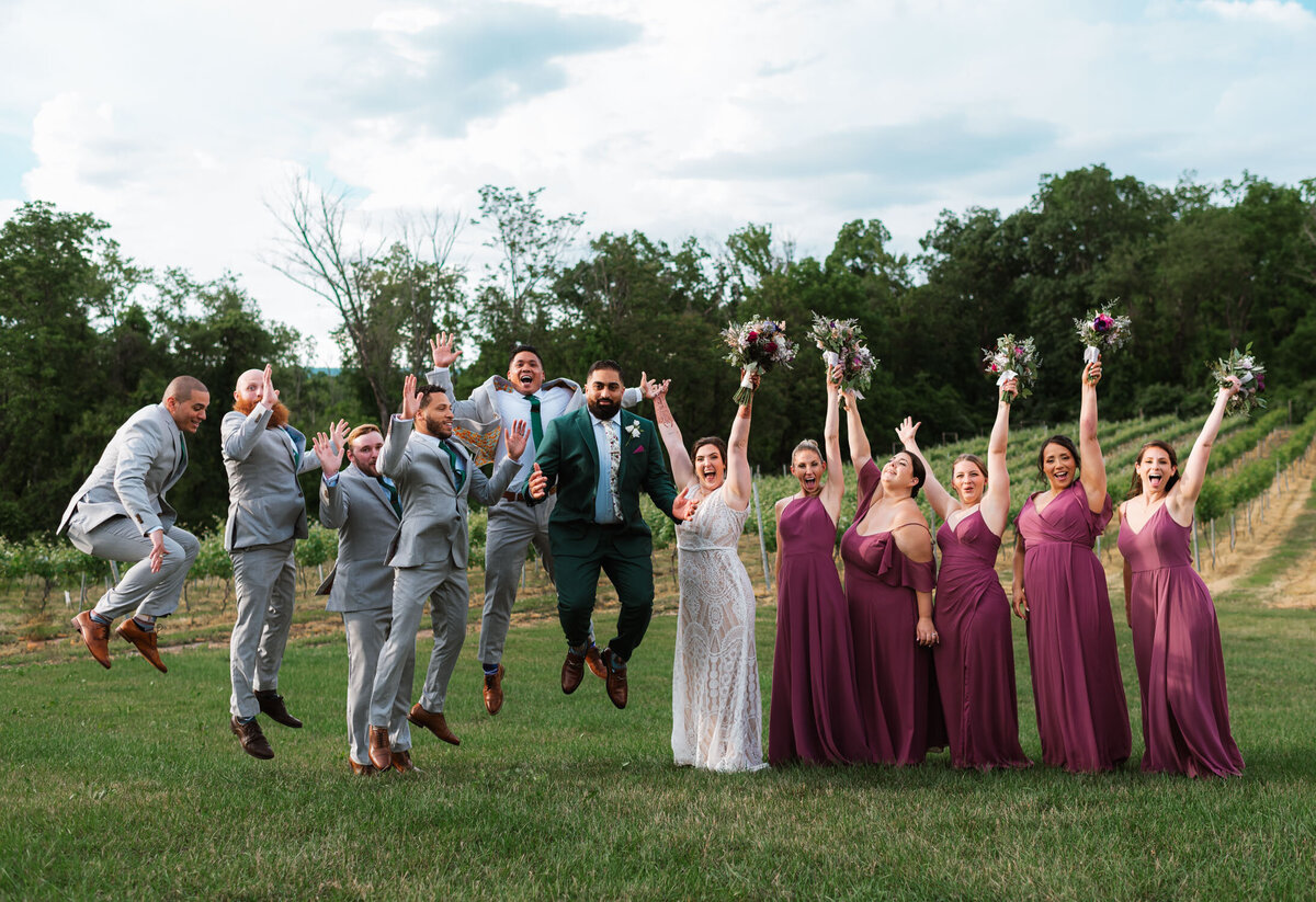 Caity+Karan Patel One Year Vow Renewal, Wedding, Brook Hollow Winery, Columbia NJ, Nichole Tippin Photography-62