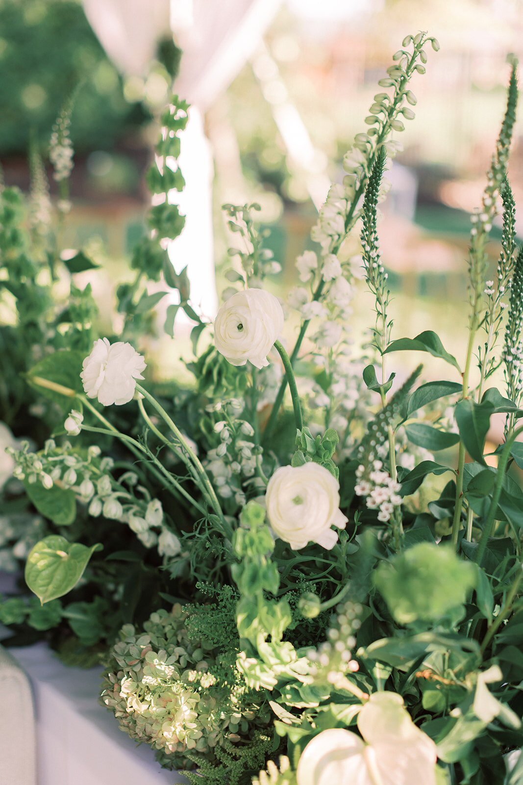 candaengagementparty-68_websize