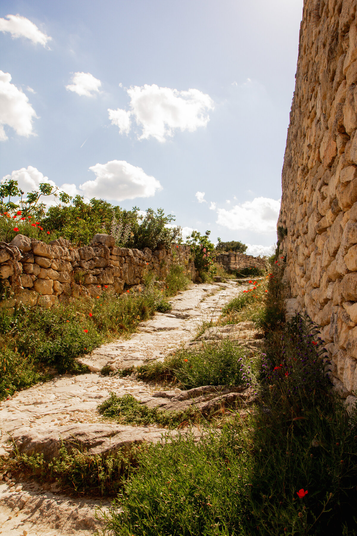 Provence-25