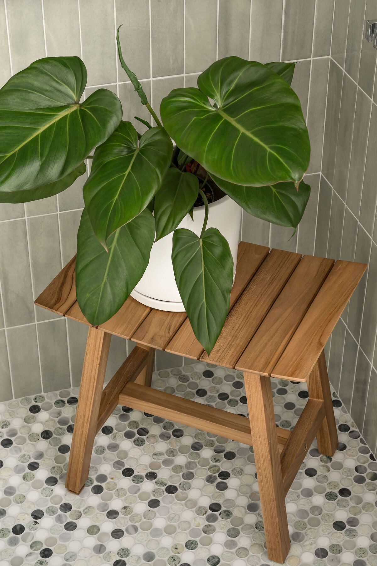 Remodel_Primary Bathroom_Tile